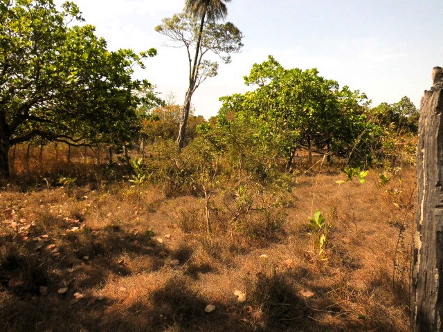 Exceptional 500m² plot of land in Sanyang