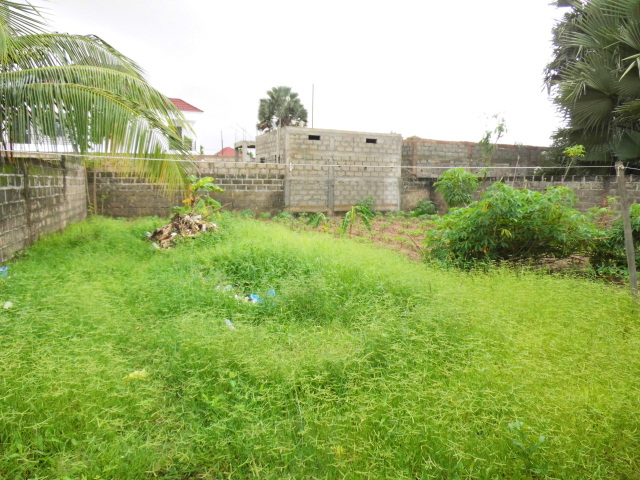 3 Furnished 2-Bedroom Units & Reserved Land for Sale &ndash; Brufut Wullinkama