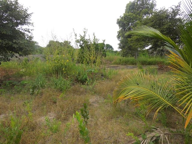 Empty plot of land for sale