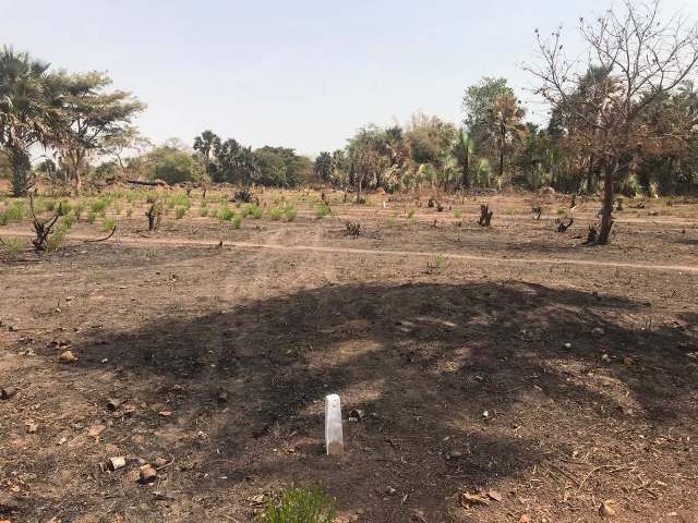 Sanyang Selling Plots