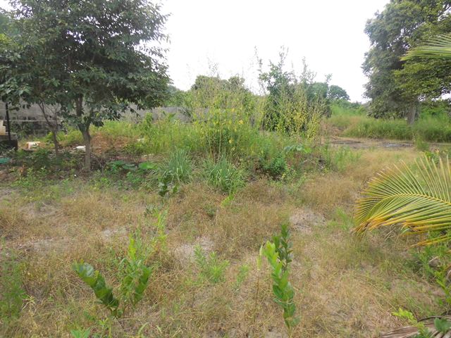 Empty plot of land for sale