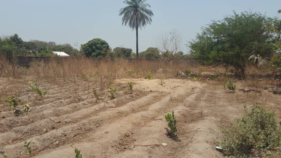 Empty Land Located at Farato