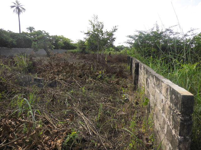 Empty Plot of Land for Sale