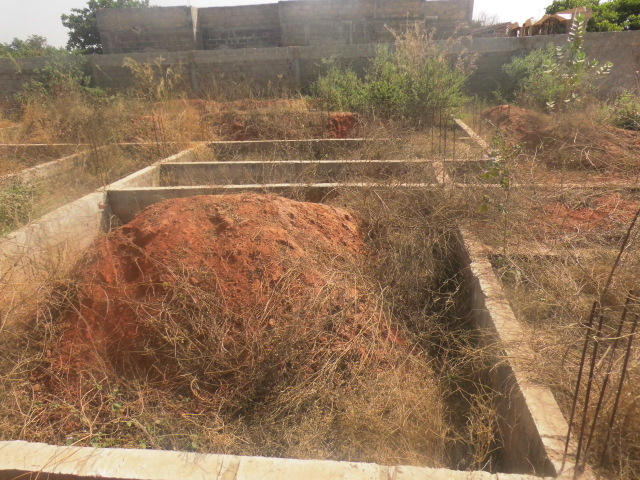 Empty Flat land 20M X 20M located at Lamin CDC