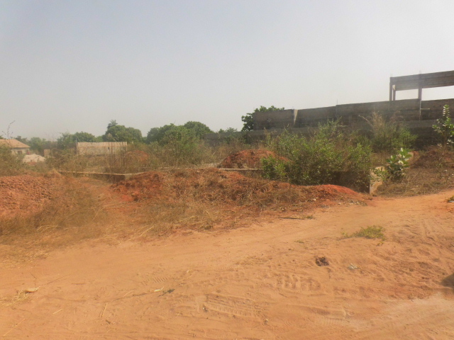 Empty Flat land 20M X 20M located at Lamin CDC