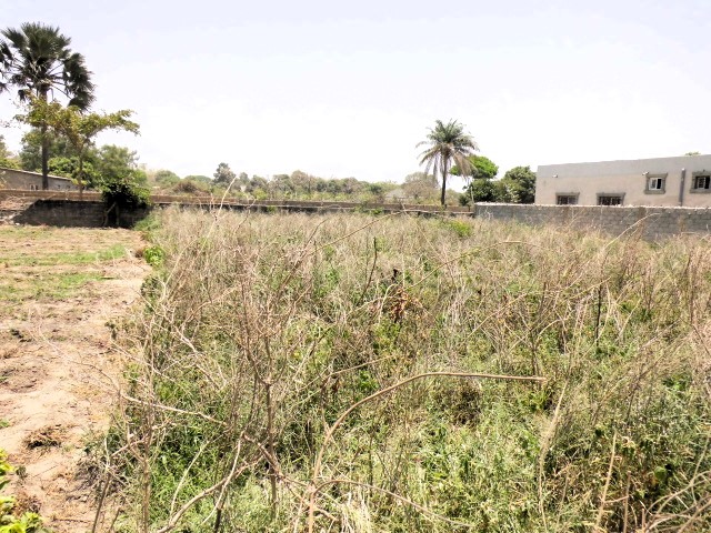 Empty plots of land in the peaceful and developing area of Batokunku