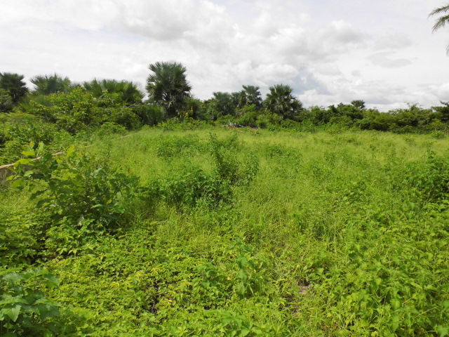 Sanyang Sea View Plot for sale