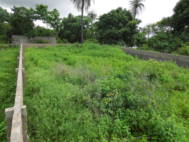 Rare to find, nice empty plot of land in Sanyang