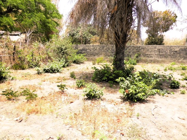 Empty plots of land in the peaceful and developing area of Batokunku