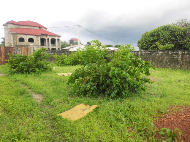 Plot for sale Located at Salagi
