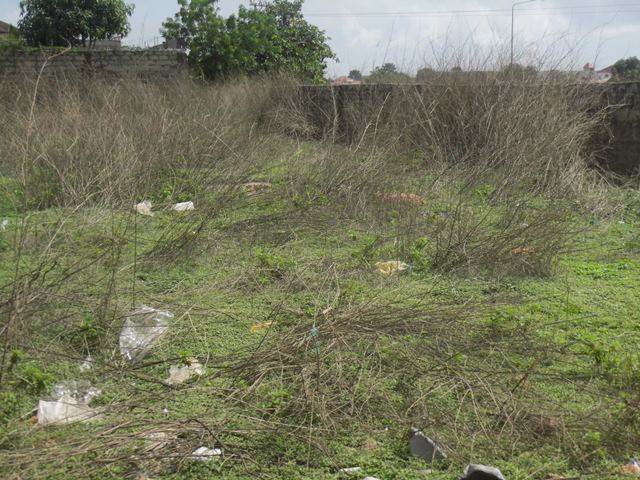 Empty plot of Land for Sale