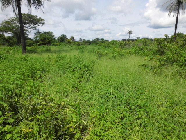 Sanyang Sea View Plot for sale