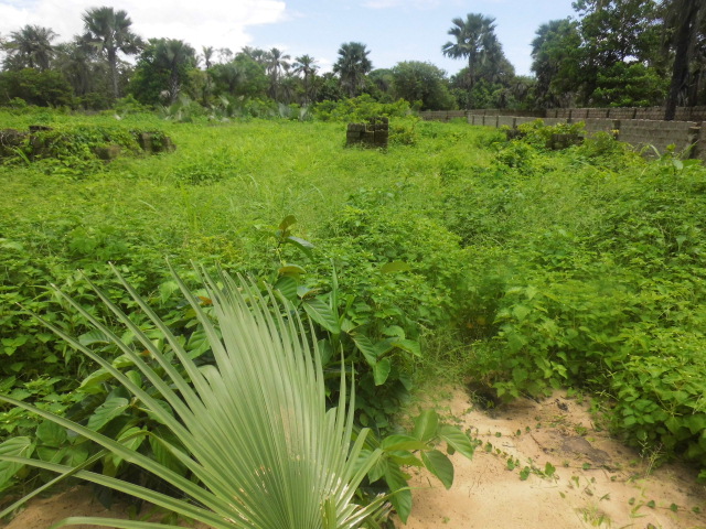 Plot for sale Located at Salagi