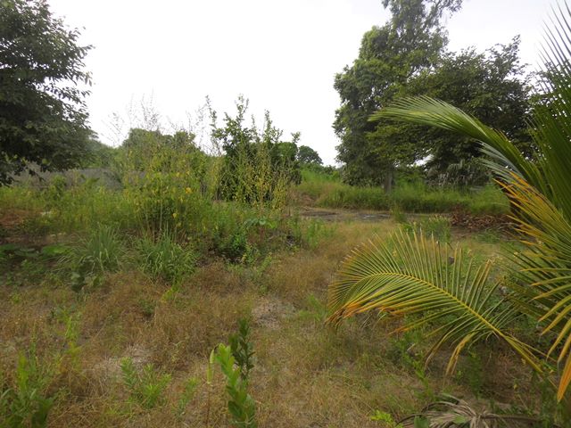 Empty plot of land for sale