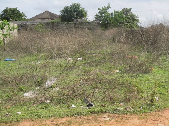 Empty plot of Land for Sale