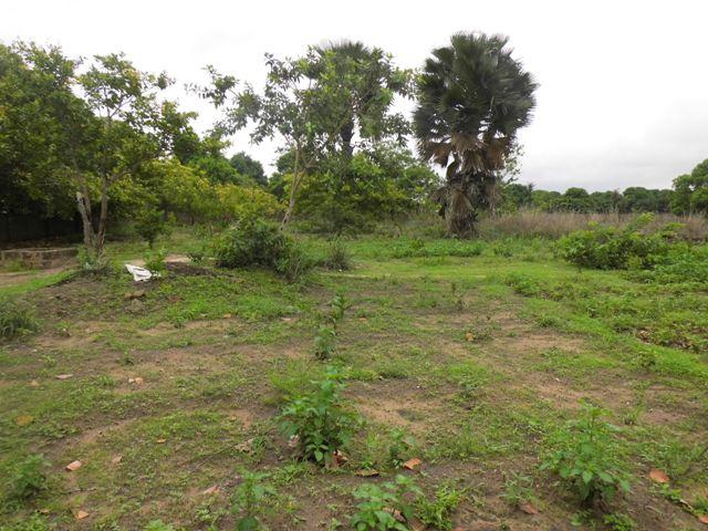 EMPTY PLOT AT LABAKOREH