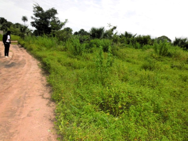 Land for Sale in Sanyang Paradise