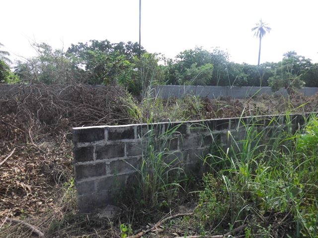 Empty Plot of Land for Sale