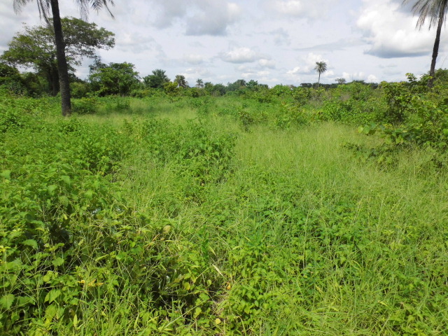 Sanyang Sea View Plot for sale