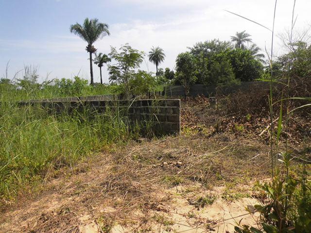 Empty Plot of Land for Sale