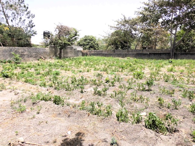 Empty plots of land in the peaceful and developing area of Batokunku