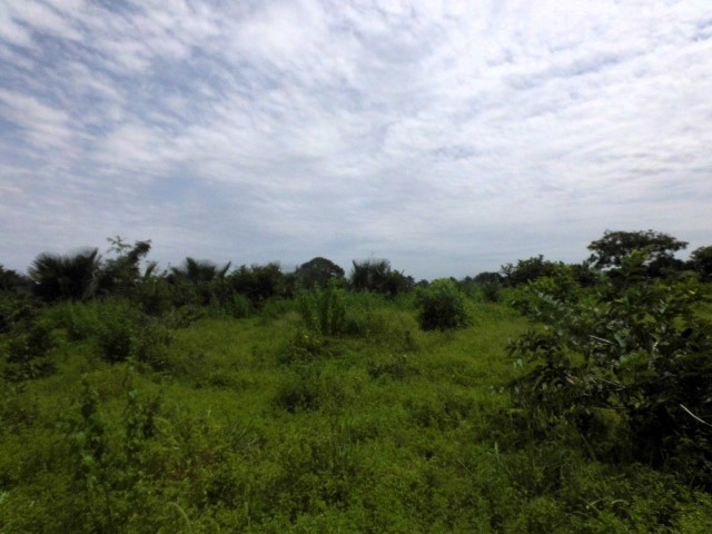 Land for Sale in Sanyang Paradise
