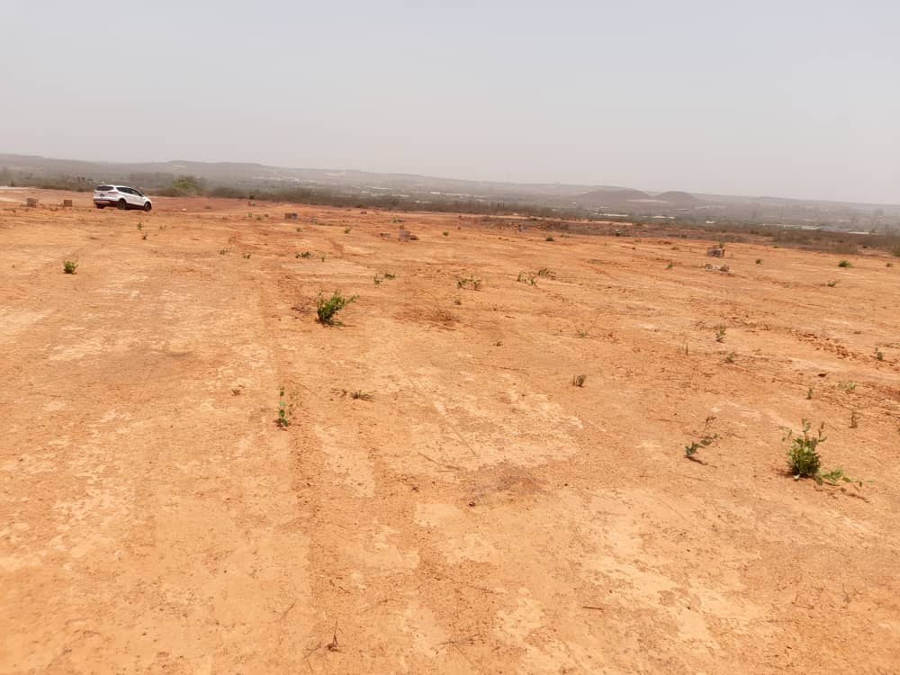 Diass projet - Terrain à vendre