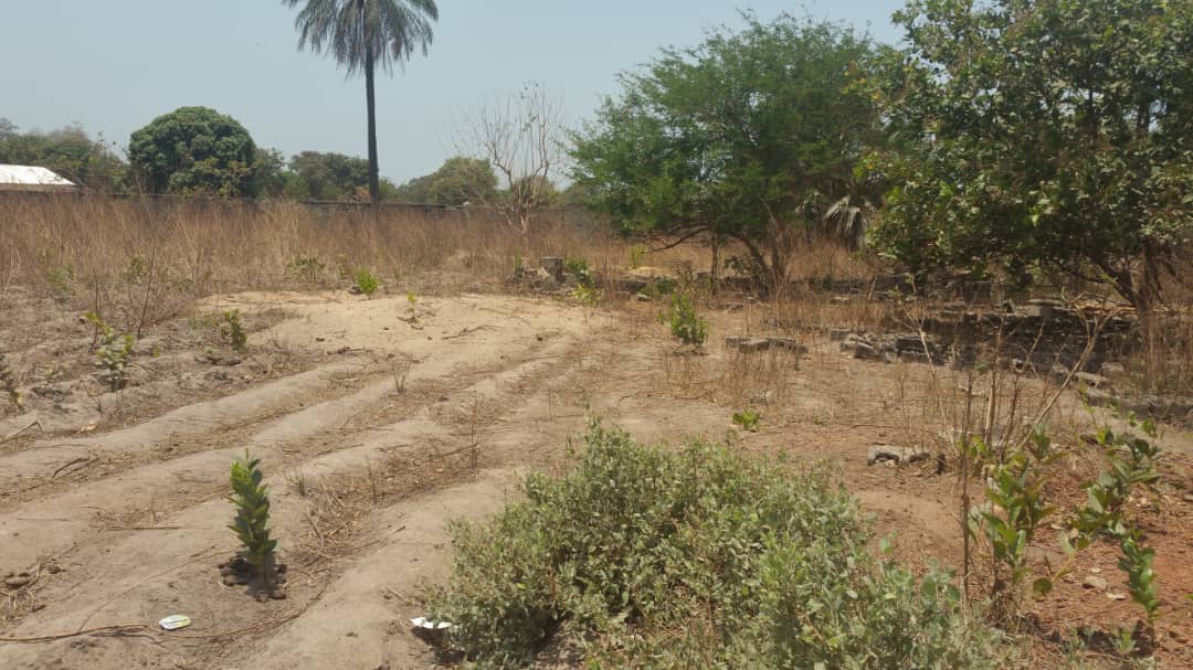 Empty Land Located at Farato