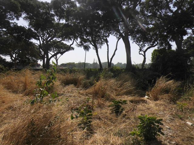 Empty Plot of Land for Sale