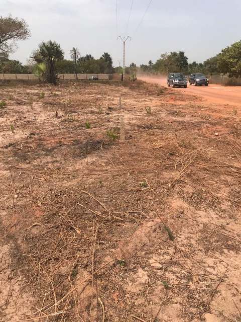 Sanyang Selling Plots