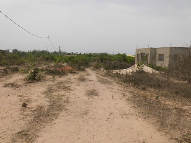 Empty plot of land in Tujereng