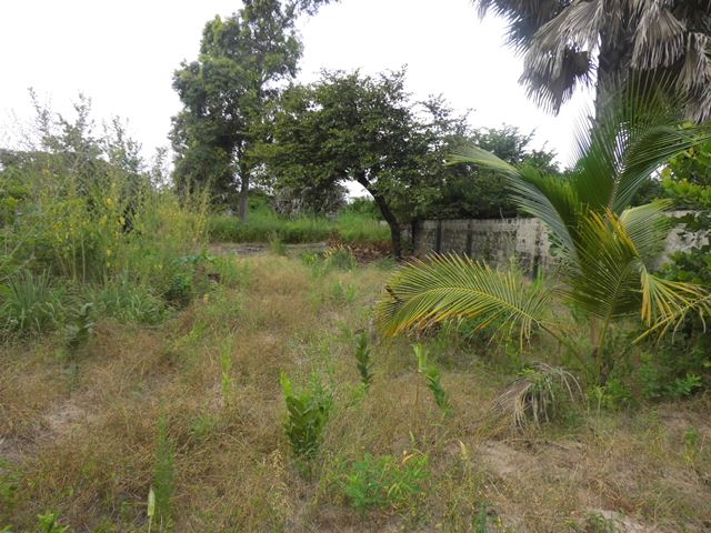 Empty plot of land for sale