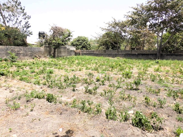 Empty plots of land in the peaceful and developing area of Batokunku