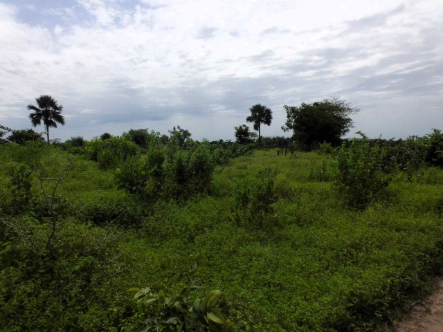 Land for Sale in Sanyang Paradise