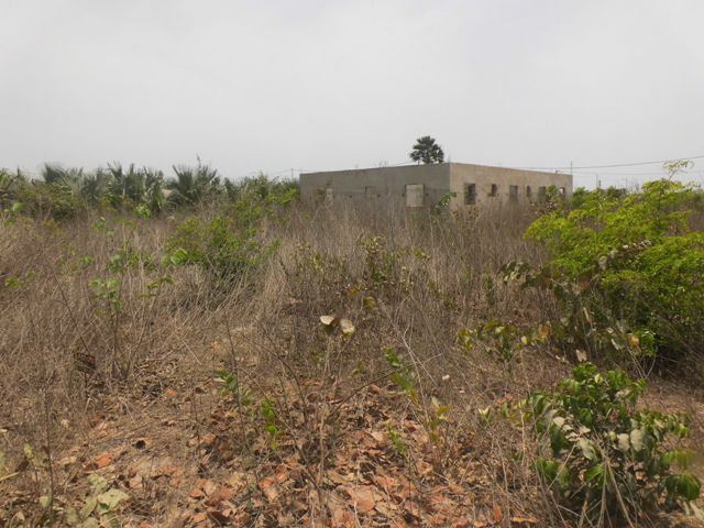 Empty plot of land in Tujereng