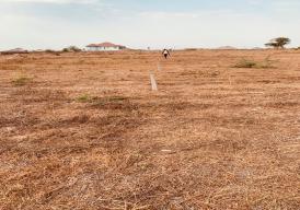 Easily accessible Plot located at old Yundum