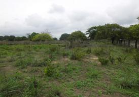 EMPTY PLOT AT LABAKOREH