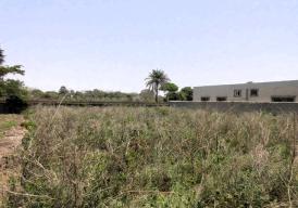 Empty plots of land in the peaceful and developing area of Batokunku