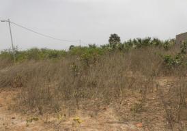 Empty plot of land in Tujereng