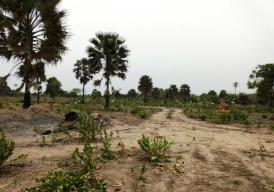 Sanyang Plots near Sanyang Beach