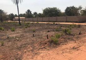 Sanyang Selling Plots