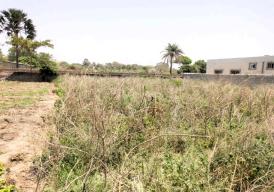 Empty plots of land in the peaceful and developing area of Batokunku
