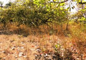 Exceptional 500m² plot of land in Sanyang