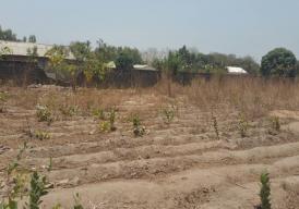 Empty Land Located at Farato