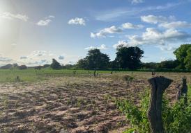 Land Investment Opportunities in Kiang Koli Kunda! Two Plots Available