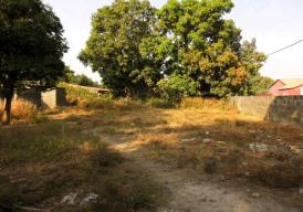 Fenced Corner Plot located at Nema Kunku