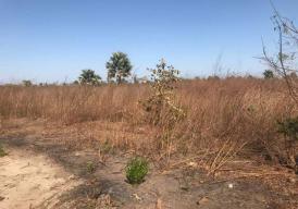 Sanyang Brand New Plots