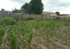 Empty plot of land for sale located at Brusubi layout