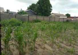 Empty plot of land for sale located at Brusubi layout