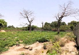 Empty plot of land is located in Batokunko